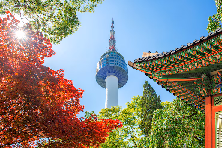 seoul tower with gyeongbokgung roof red autumn maple leaves namsan mountain south korea 335224 419 Korea Corporate Tax Rate 2026: What Foreign-Invested Companies Must Fix Before Year-End Close Namsan Tower view among the leaves